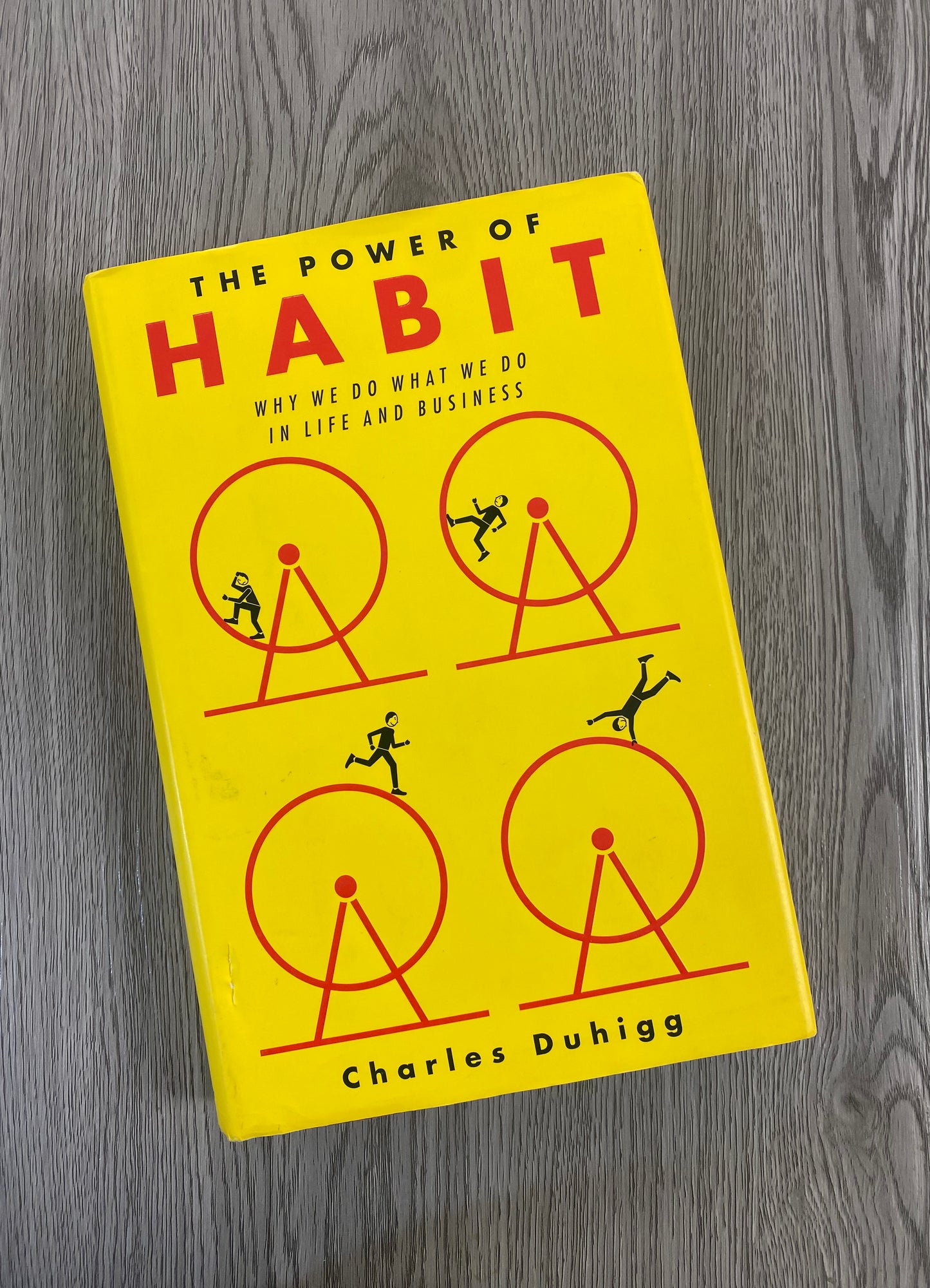 The Power of Habit: Why we do What we do in Life and Business by Charles Duhigg-Hardcover