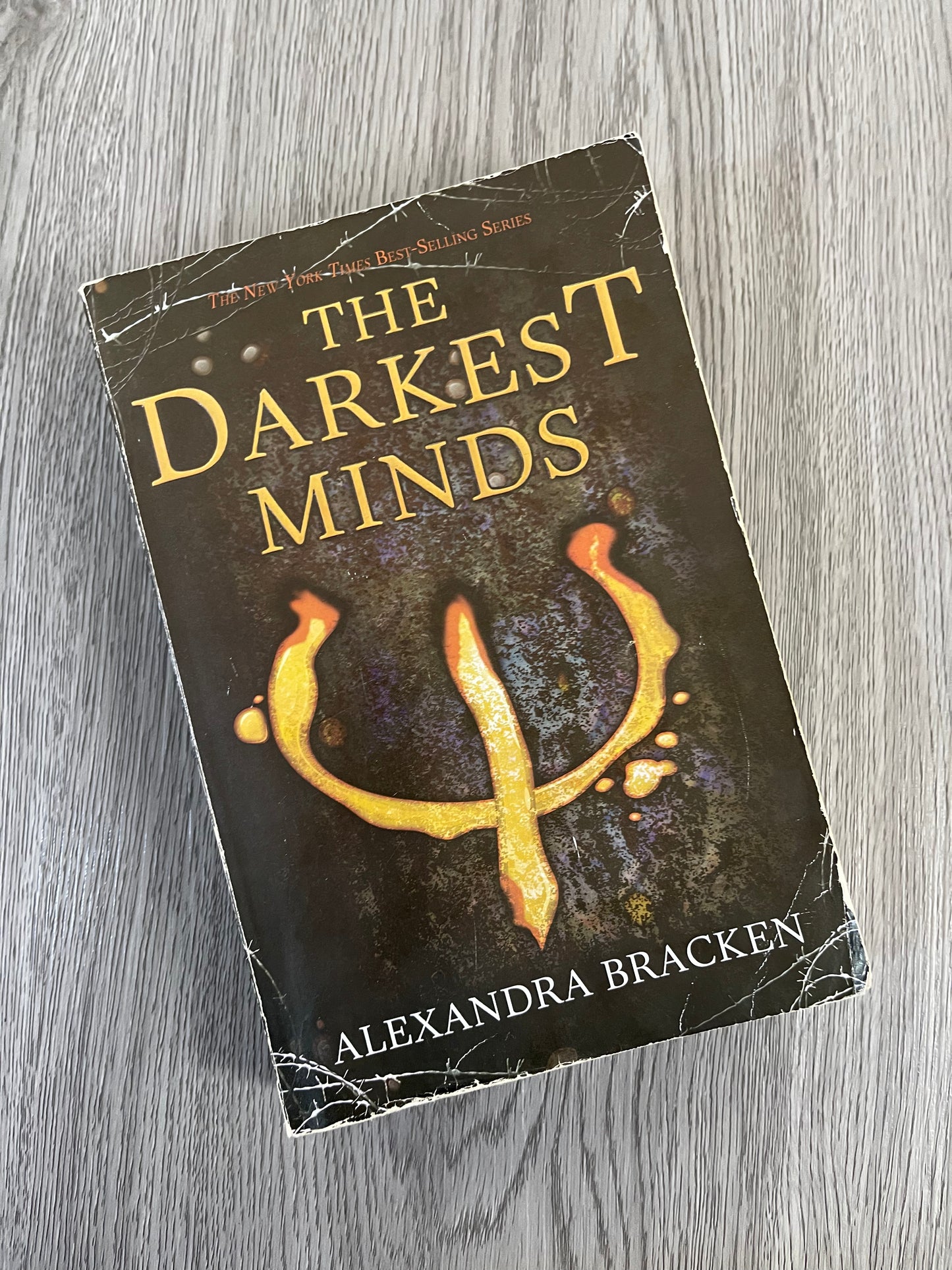 The Darkest Minds (Darkest Minds #1) by Alexandra Bracken