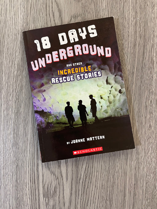 18 days of Underground and other Incredible Rescue Stories by Joanne Mattern