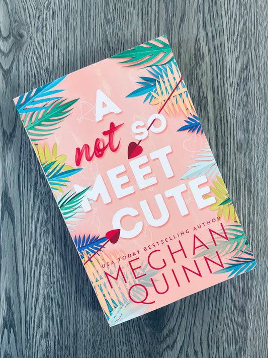 A Not so Meet Cute (Cane Brothers #1) by Meghan Quinn