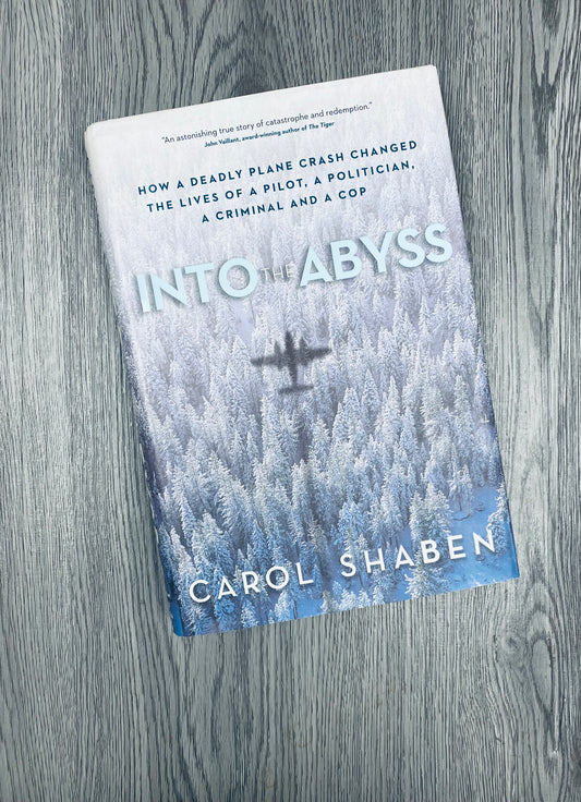 Into The Abyss: How a Deadly Plane Crash Changed the Lives of a Pilot, a Politician, a Criminal and a Cop by Carol Sheban-Hardcover