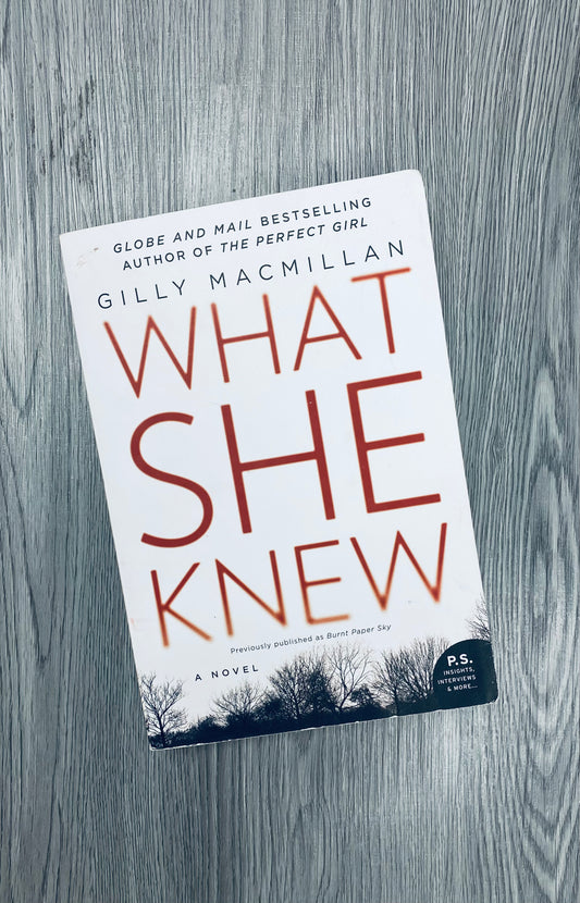 What She Knew (Jim Clemo #1) by Gilly MacMillian