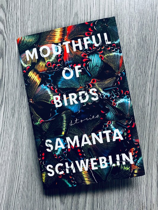 Mouthful of Birds by Samantha Schweblin